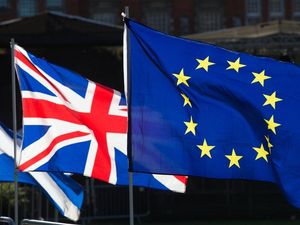 Supporting image for story