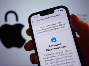 Supporting image for story: UK ‘agreed to drop’ Apple data demand in privacy row, US chief says