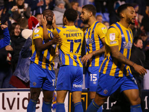 Supporting image for story: Shrewsbury Town ticked all the boxes – boss Steve Cotterill