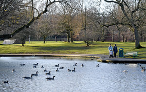 Victoria Park will celebrate the sporting side of the Games