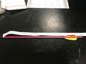 The bolt pulled out of the swan's wing. Photo: RSPCA