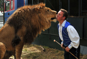 Tsavo gives Mr Chipperfield a kiss