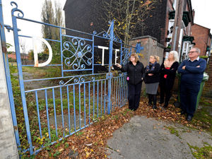 Supporting image for story: Plea for eyesore sports ground to become Covid-19 tribute garden