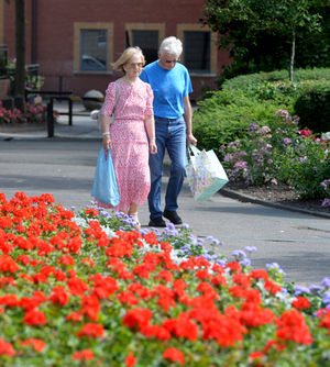 Walking in the flowers in Cannock Park

