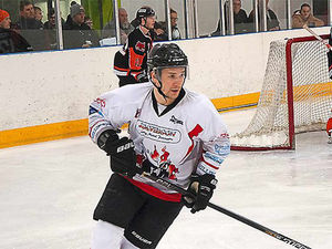 Supporting image for story: Telford Tigers sign the prolific Michal Satek