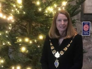 Supporting image for story: Shrewsbury Rotary Tree of Light beneficiaries named