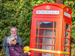 Supporting image for story: Fresh lease of life for disappearing landmark