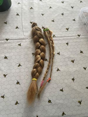 Eight year old Laila Janke has raised almost £500 donating her hair to the Little Princess Trust