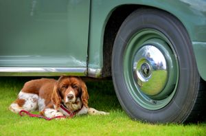 17 year old Bracken takes a rest