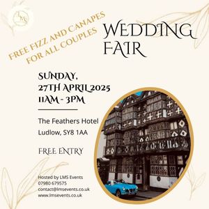 Free entry, at The Feathers Wedding Fair