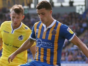 Supporting image for story: Ollie Norburn knows Shrewsbury's slow start can be turned around