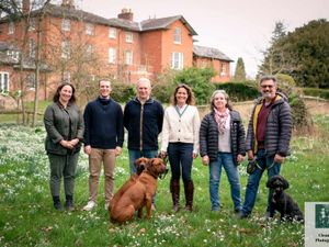 Supporting image for story: Stunning snowdrop walk returning to Shropshire estate