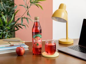 Supporting image for story: Carlsberg agrees £3.3bn takeover of Robinsons maker Britvic