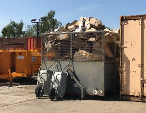 The kittens were found in a skip at a premises in Shaw Street, West Bromwich