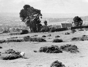 A view from Clee Hill, i.e. the slopes of Titterstone Clee Hill, 1982. The caption reads: 'Part of the excellent view from the A4117 on Clee Hill, South Shropshire. It is typical sheep grazing country, with dry stone walls and old cottages.'