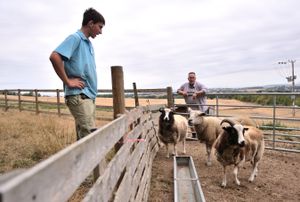 Farmer Edward Garrett from near Wellington. Shropshire's farmers are facing their worst  drought for almost 50 years.