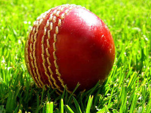 Supporting image for story: Shifnal skipper Chris Murrall admits league is 'crazy'