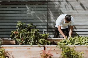 Gardeners are advised to take care of their plants and furniture during the heatwave