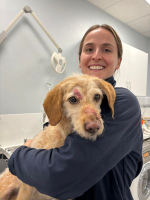 Dora is back at home