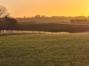 Supporting image for story: Estate hedge project sees thousands of plants planted