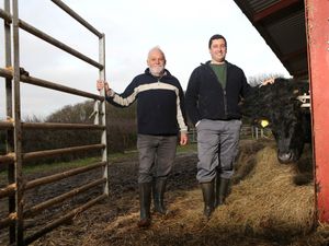 Supporting image for story: ‘Start to Farm’ scheme is safeguarding the future prosperity of family farms in Wales  
