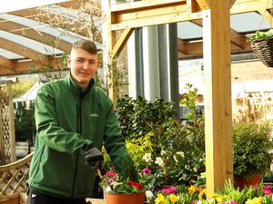 Supporting image for story: Shenstone garden centre offering tips how to grow ingredients for Christmas dinner