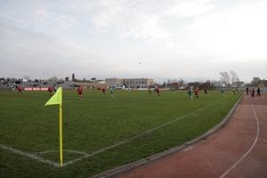 "My garden shed..." will get an airing if Wolves travel to Narva Trans