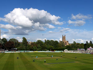 Supporting image for story: Worcestershire search for new cricket director