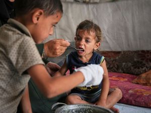 Supporting image for story: UN official says 20 aid trucks with food are waiting to enter Gaza