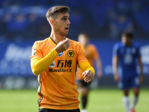 Supporting image for story: Wolves boss Bruno Lage keeping an eye on Bruno Jordao
