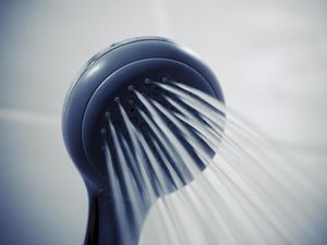 Supporting image for story: Watchdog won't investigate Telford Council in shower-over-bath row
