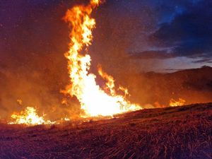 Supporting image for story: 'Fantastic' effort prevents large Church Stretton wildfire spreading to bird nesting sites



