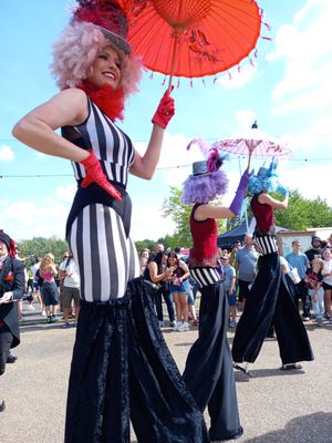 The town park was also hosting the Telford Community Carnival procession. Picture: Telford & Wrekin Council