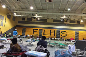 One of the rescue centres they ended up in