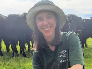 Supporting image for story: Experts gather for first Marches Real Food and Farming Conference 