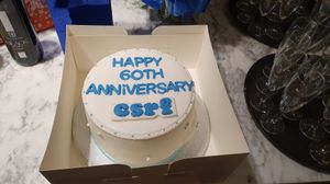 The 60th anniversary cake for the group celebrations