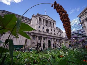 Supporting image for story: Too early for Bank to cut interest rates on Thursday, economists predict