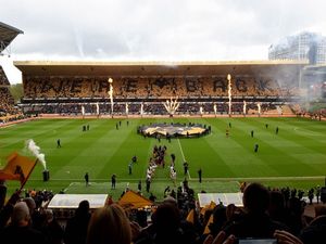 Supporting image for story: Wolves could leave Molineux says Jeff Shi