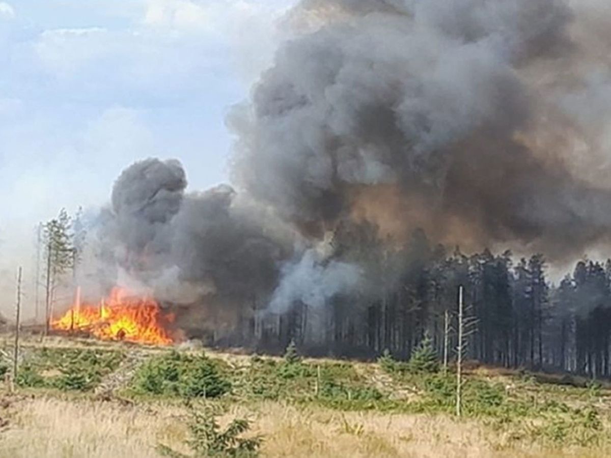 Second World War munitions hamper moorland blaze firefighters