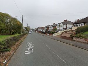 Supporting image for story: Police investigate disorder involving machetes at Bilston pub as one woman arrested