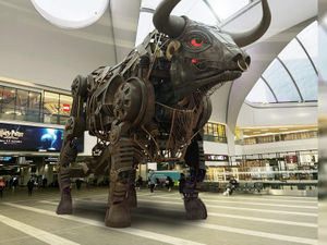 Supporting image for story: Competition opens to give Games Bull a new name