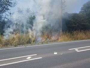 Supporting image for story: Grass fire breaks out at side of road