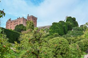Dan Bull, gardener, at Powis Castle trimming the Yew Topiary.  