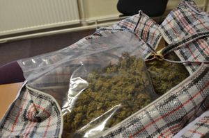 Some of the cannabis was found in laundry bags