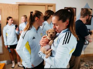 Supporting image for story: Abandoned newborn puppies dumped with rubbish get VIP tour of Aston Villa training ground - See the adorable photos