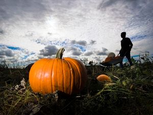 Supporting image for story: This guy’s pumpkin carving of Thanos has to be seen to be believed