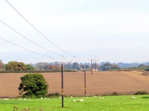 Supporting image for story: Work under way on new power line between Wem and Oswestry as part of £18 million investment
