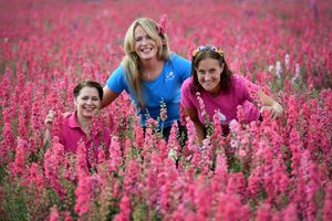 Gearing up for the opening of the spectacular Shropshire Petal Fields are Clare Wells, Alannah Evitts and Beth Heath