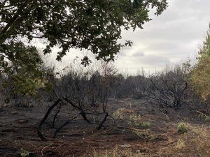 Supporting image for story: Fire service issues warning after 'incredibly busy few days in extremely challenging conditions'