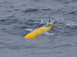 Supporting image for story: Boaty McBoatface has returned from its first journey and of course it was a success